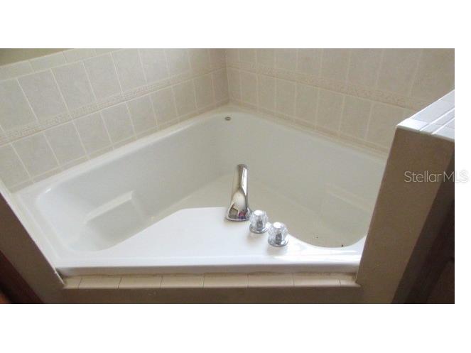 824 Berryhill Circle Fruitland Park FL 34731 G5112751 image10