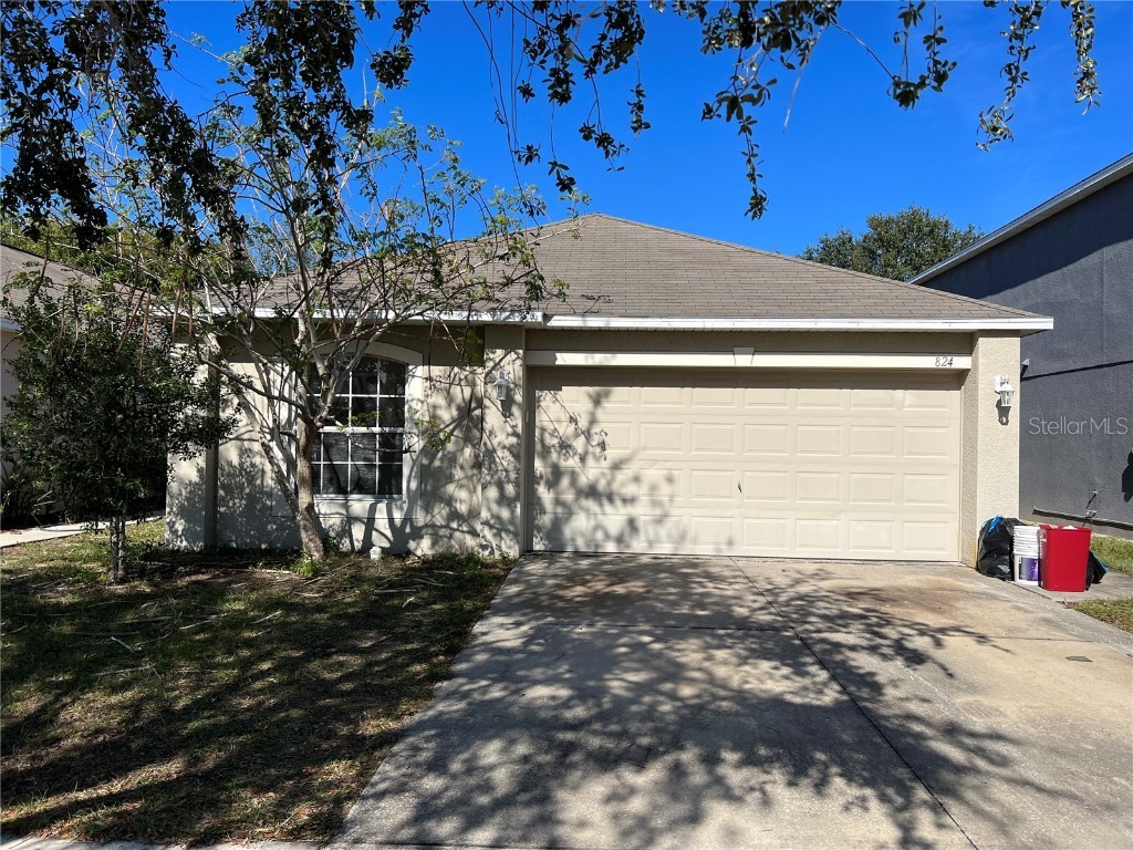 824 Brenton Leaf Drive Ruskin FL 33570 O6173847 image1