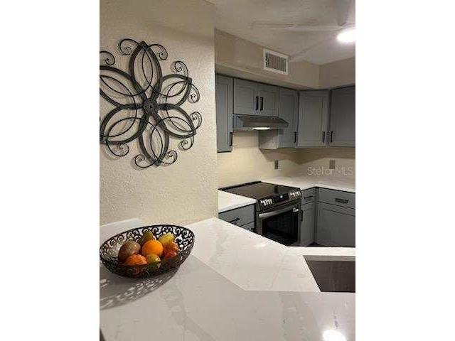 824 Camargo Way #106 Altamonte Springs FL 32714 NS1086261 image43