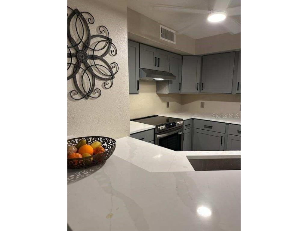 824 Camargo Way #106 Altamonte Springs FL 32714 NS1086261 image44