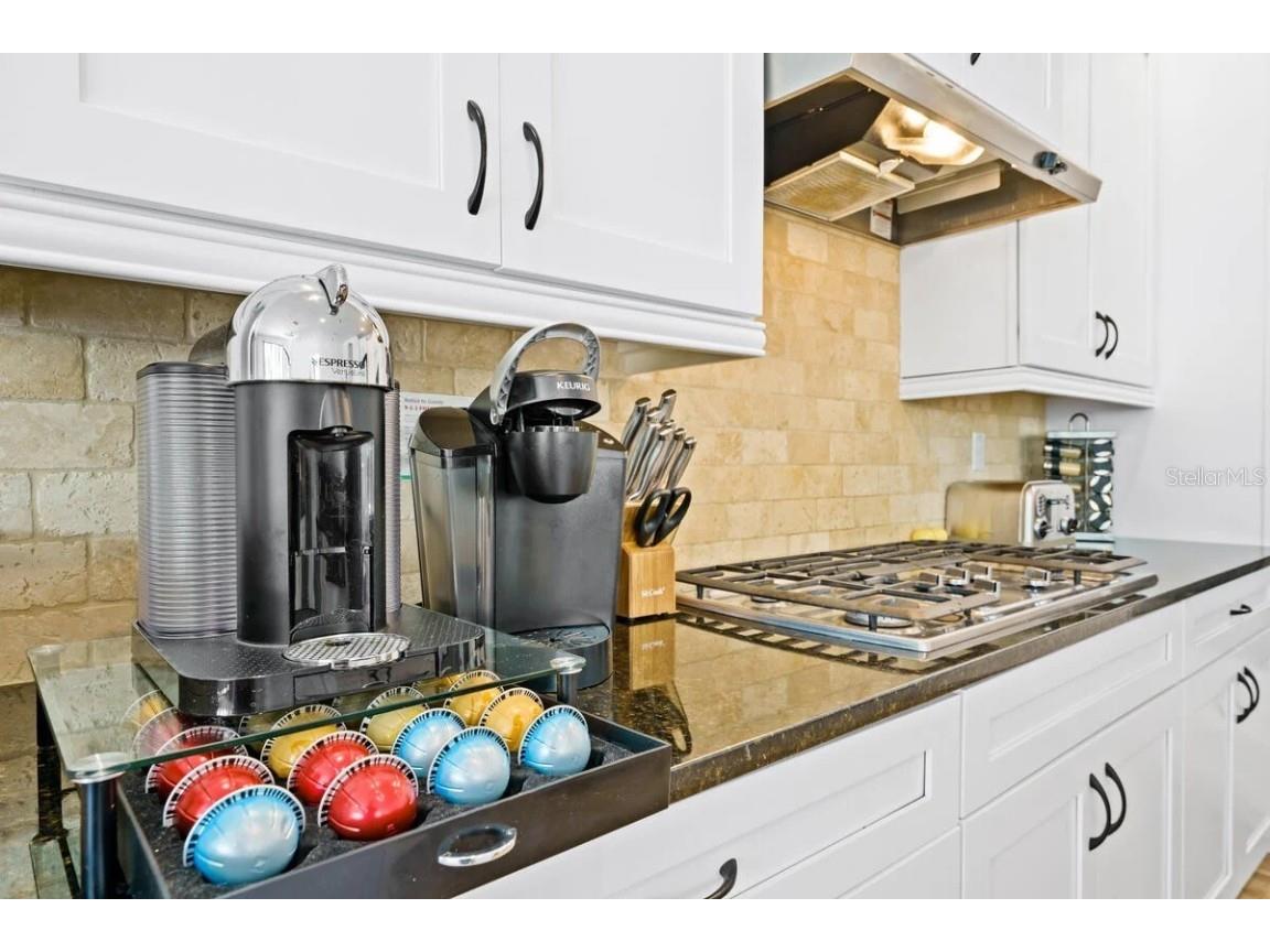 824 Desert Mountain Court Kissimmee FL 34747 O6329371 image13