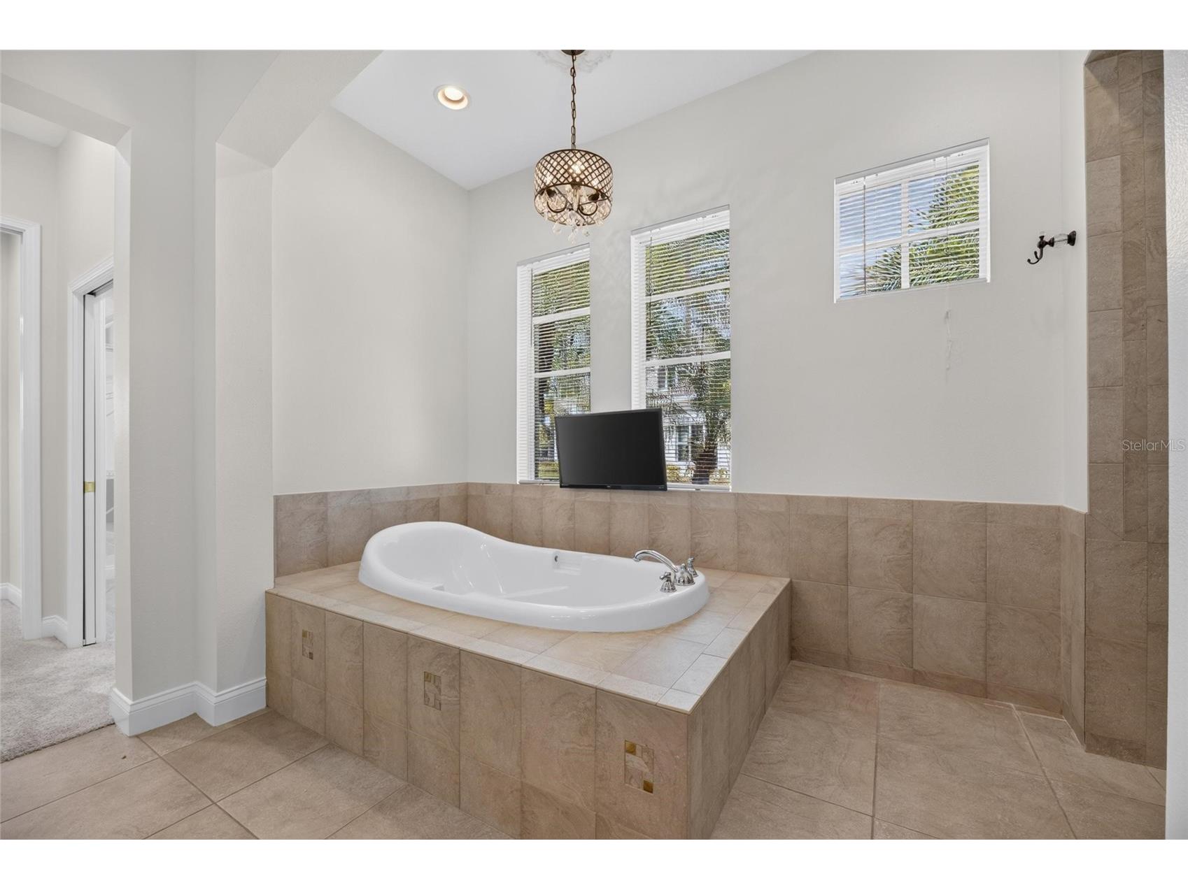824 Islebay Drive Apollo Beach FL 33572 TB8526655 image47