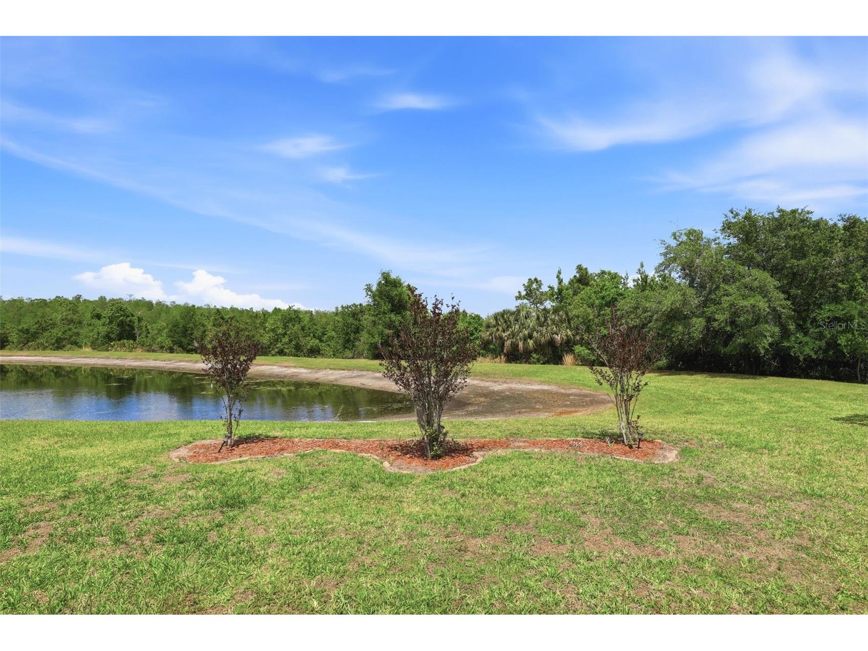 824 Lake Biscayne Way Orlando FL 32824 O6402601 image48