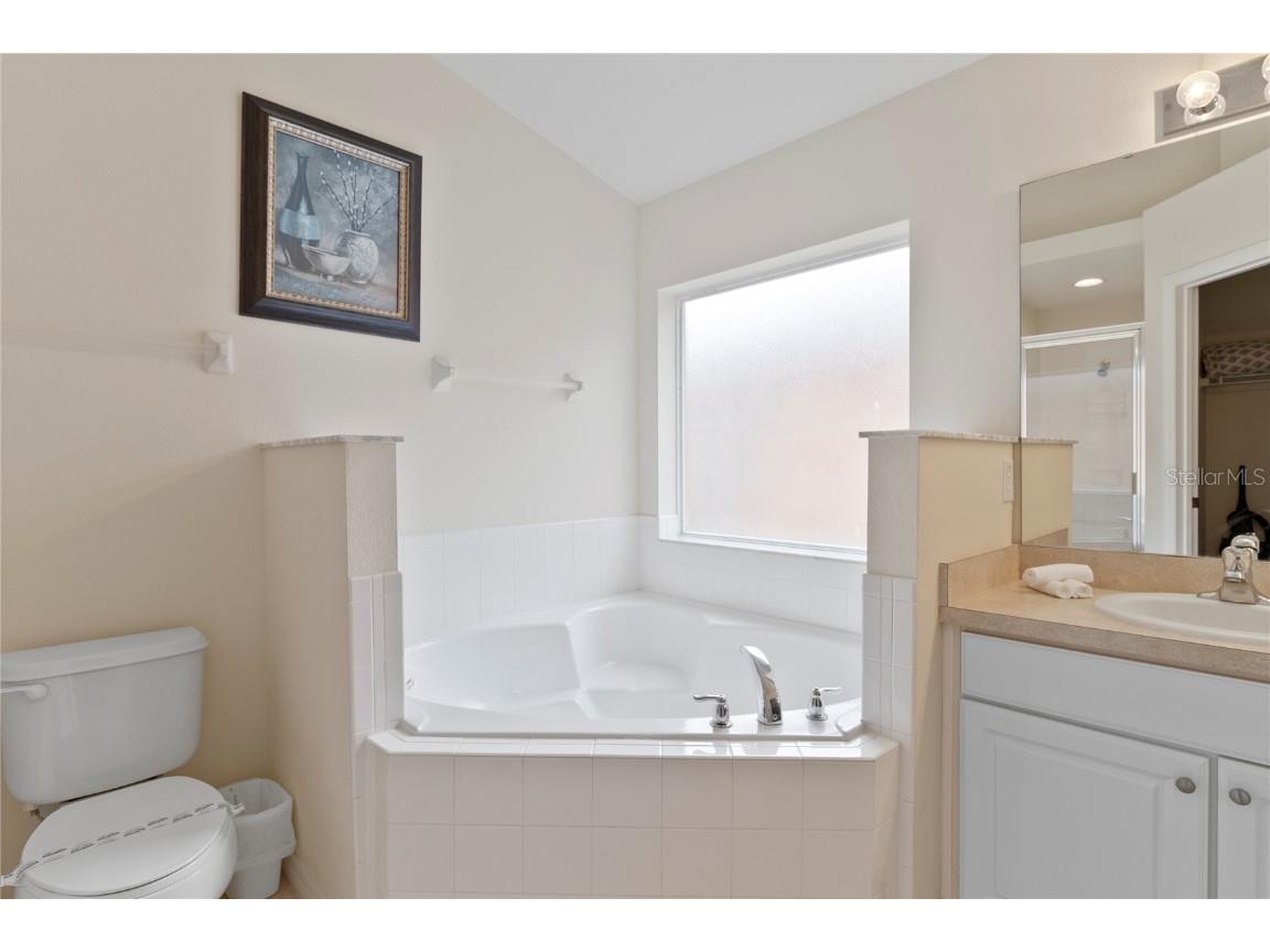 824 Orange Cosmos Boulevard Davenport FL 33837 O6332718 image11