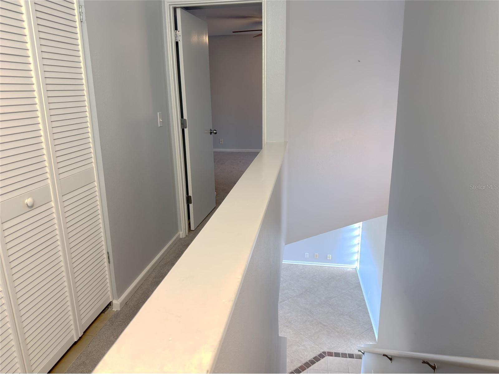 824 Padua Lane Clearwater FL 33756 TB8493974 image12