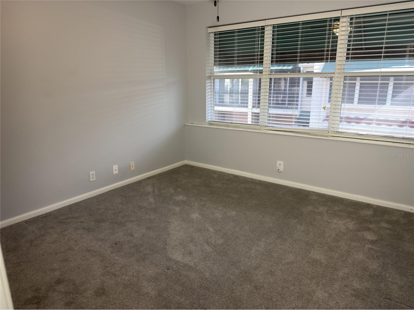 824 Padua Lane Clearwater FL 33756 TB8493974 image18