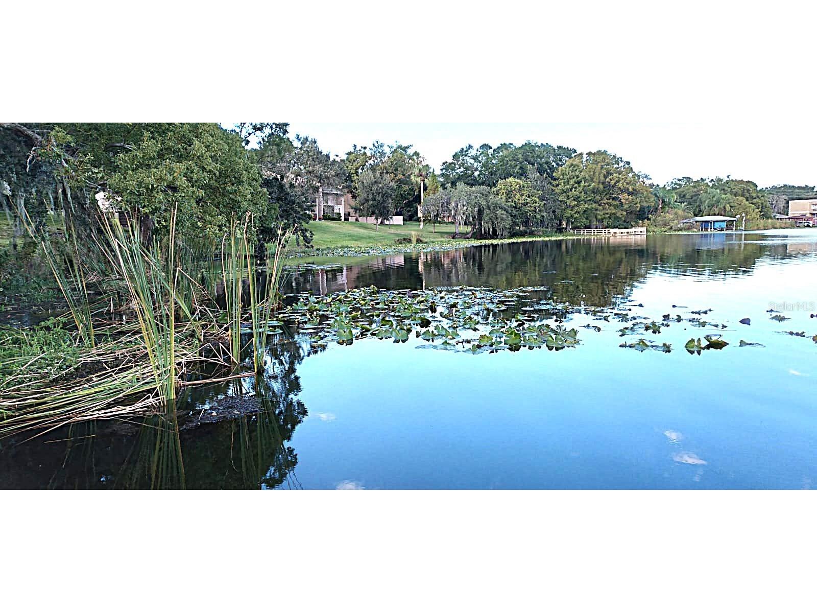 824 Town Circle #101 Maitland FL 32751 - LAKE PARK O6356952 image31