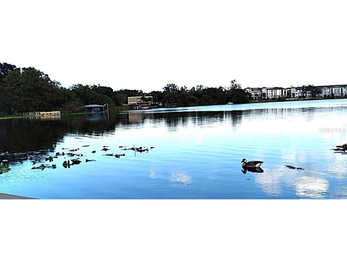 824 Town Circle #101 Maitland FL 32751 - LAKE PARK O6356952 image32