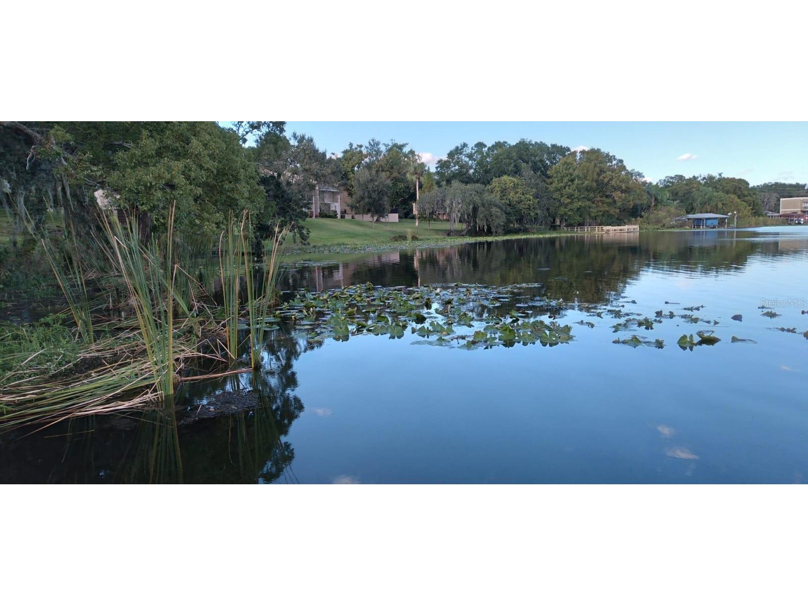 824 Town Circle #101 Maitland FL 32751 - Park O6384312 image26