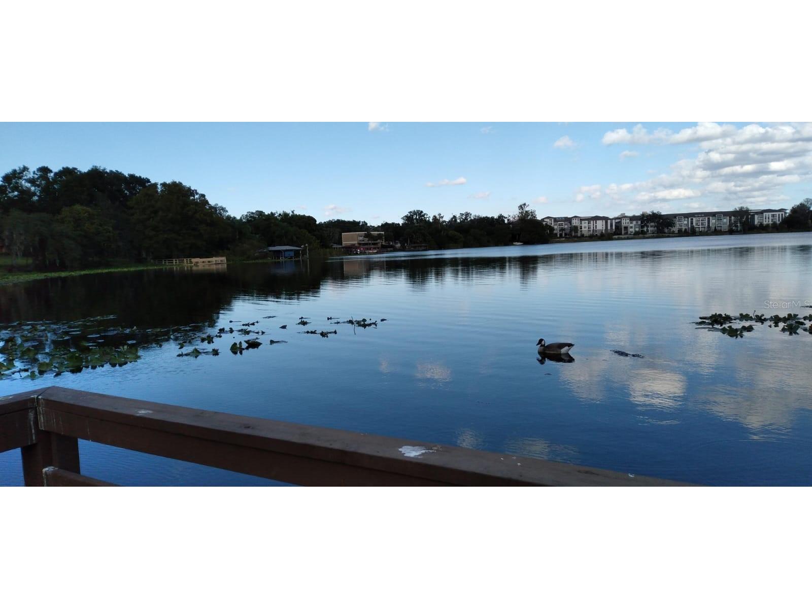 824 Town Circle #101 Maitland FL 32751 - Park O6384312 image28