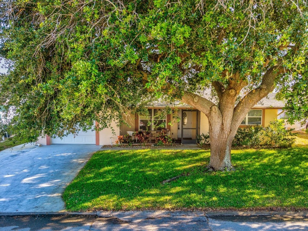 8240 Palencia Drive Port Richey FL 34668 W7864323 image1