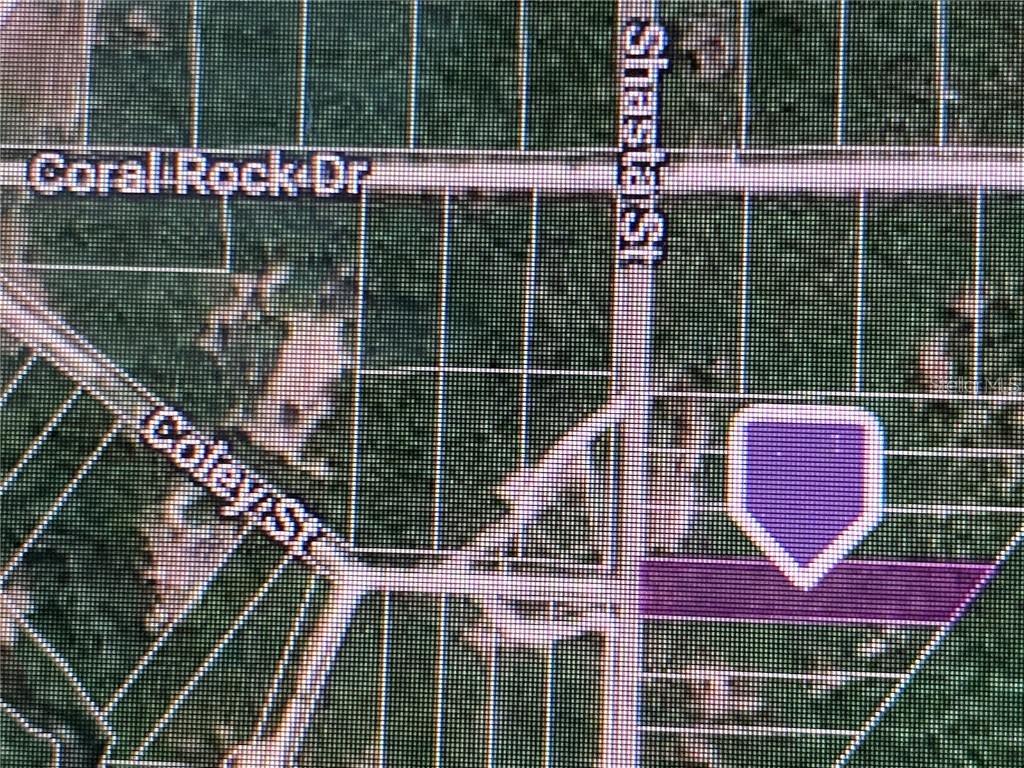 8240 Shasta Street Webster FL 33597 C7488937 image1