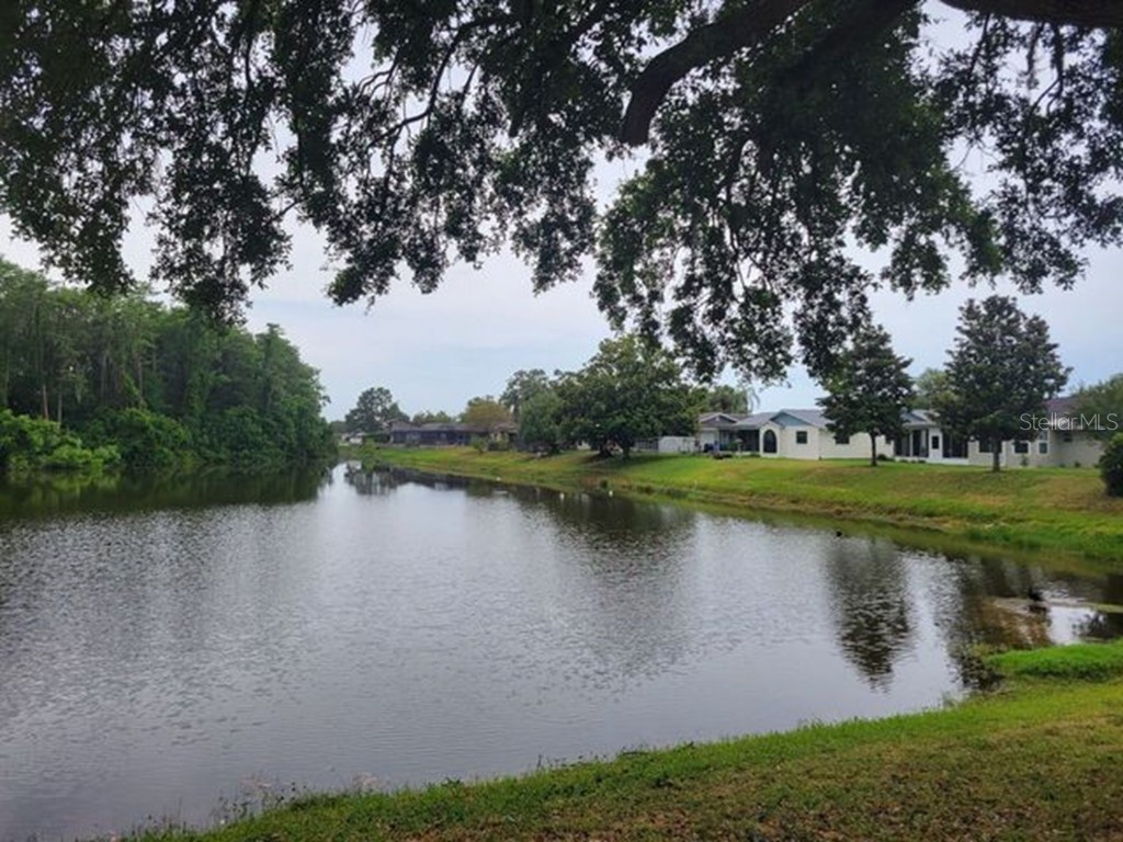 8240 Tahr Avenue New Port Richey FL 34653 T3527137 image1