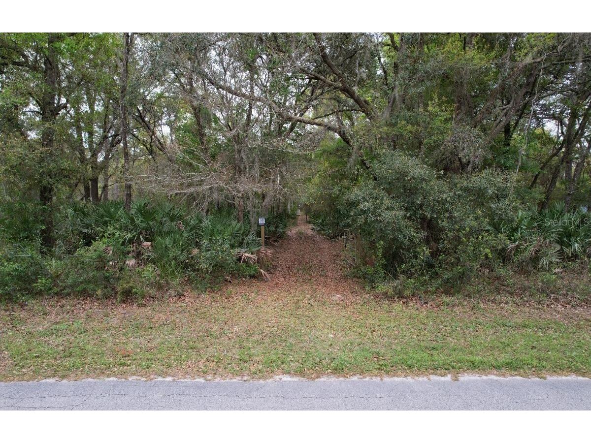 8240 W Scotch Pine Lane Crystal River FL 34428 OM654362 image1