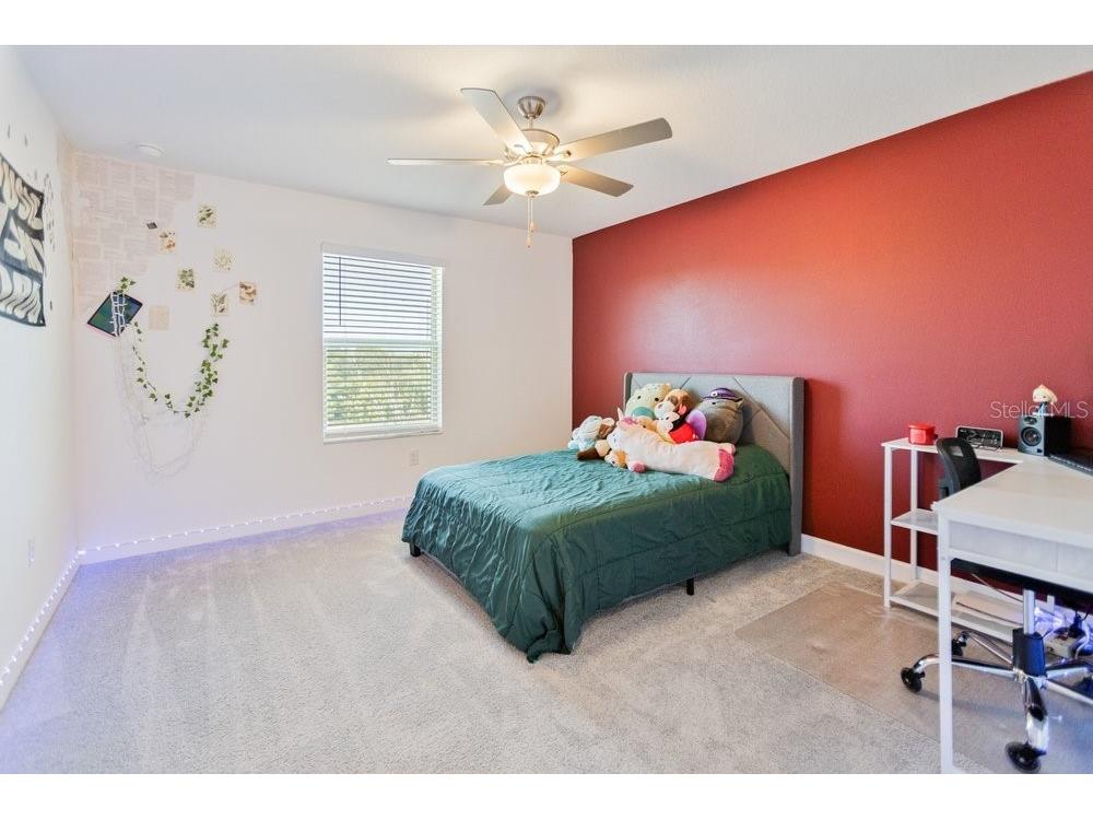 8241 Corner Pine Way New Port Richey FL 34655 W7882889 image26