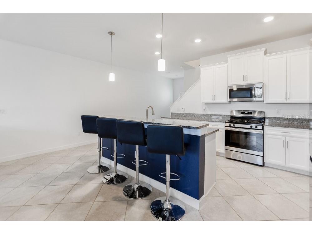 8241 Corner Pine Way New Port Richey FL 34655 W7882889 image9