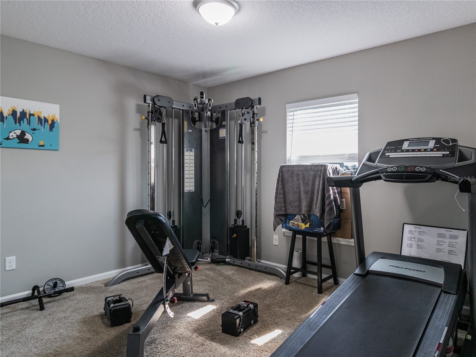 8241 NW 54th Street Gainesville FL 32653 GC541426 image14