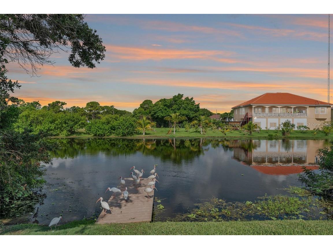 8242 Denise Drive E Largo FL 33777 U8209339 image1