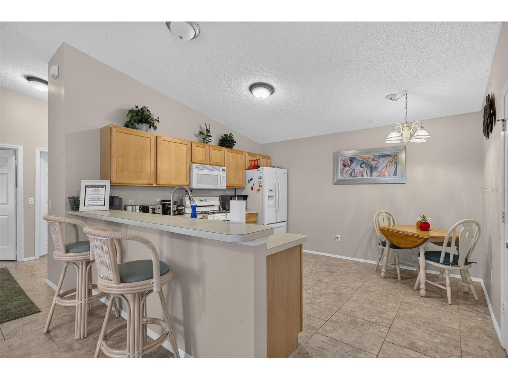 8242 SE 169th Palownia Loop The Villages FL 32162 G5115384 image14