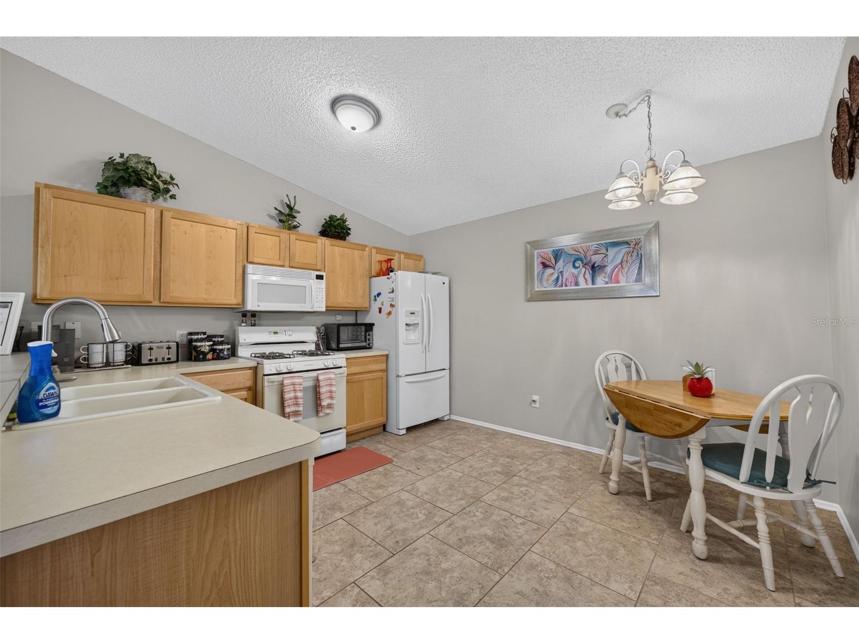 8242 SE 169th Palownia Loop The Villages FL 32162 G5115384 image15