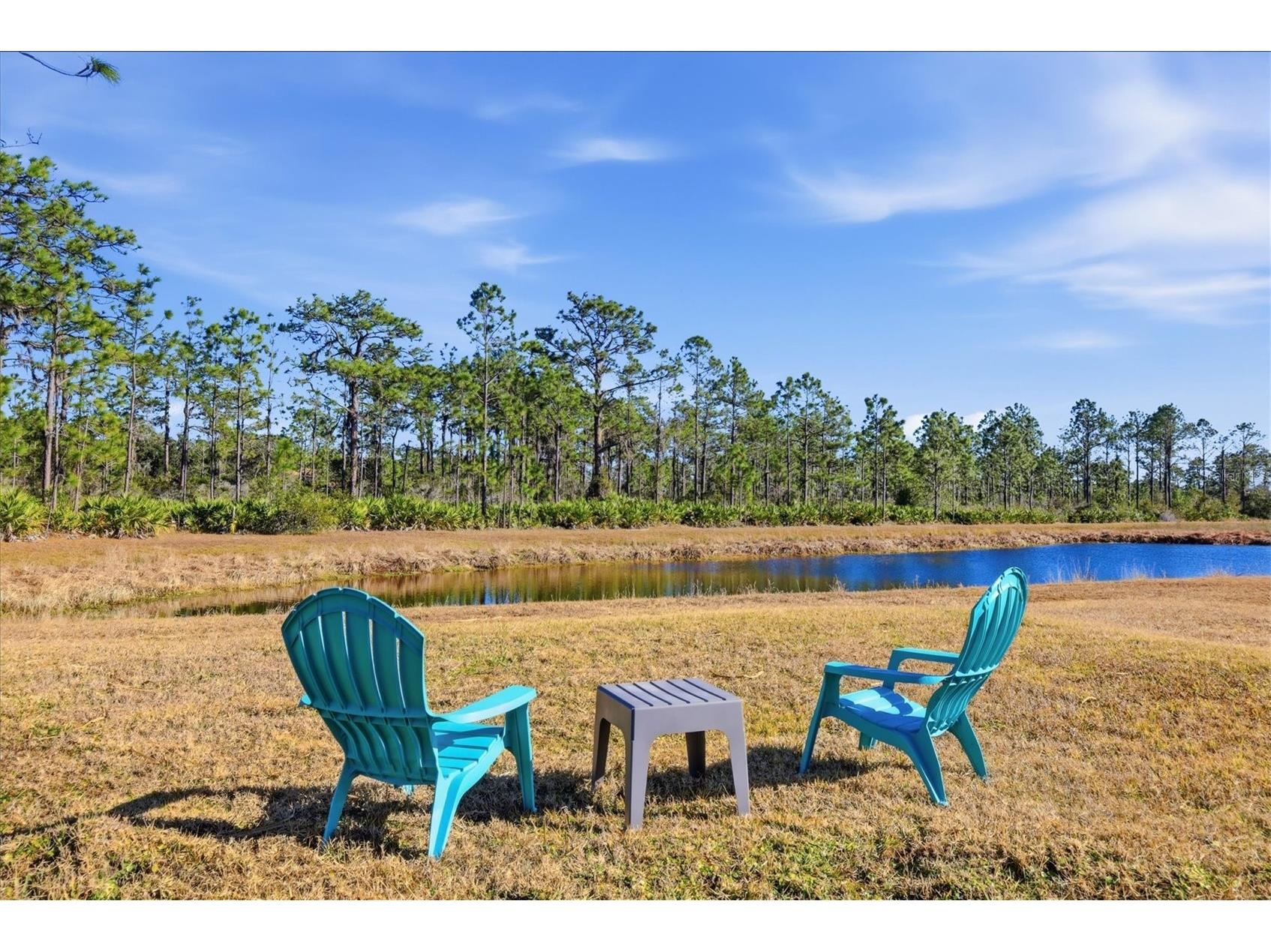 8242 Snowy Egret Place Bradenton FL 34202 A4681865 image31