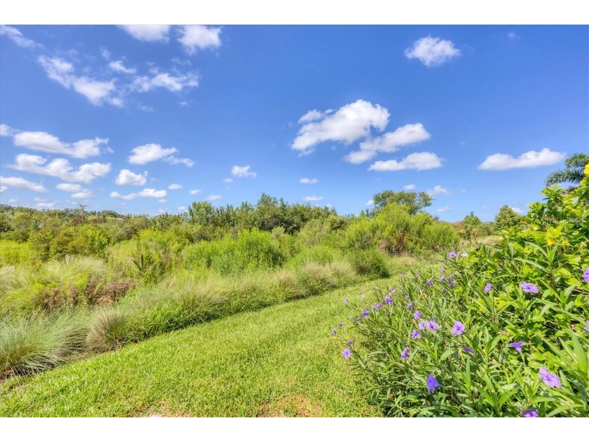 8245 Grande Shores Drive Sarasota FL 34240 N6139475 image46