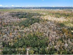 8245 Keefer Trail Kissimmee FL 34747 O6417458 image1