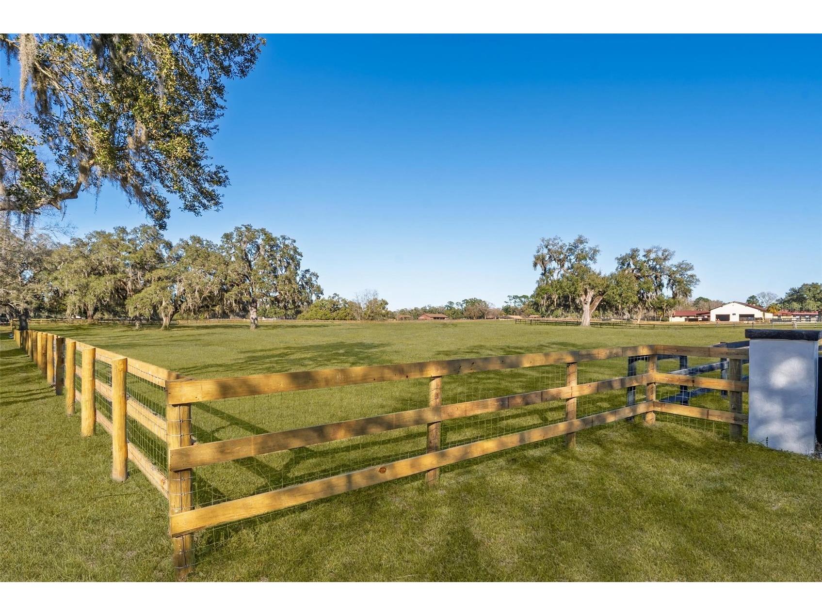 8245 NW 137th Avenue Morriston FL 32668 OM717897 image10