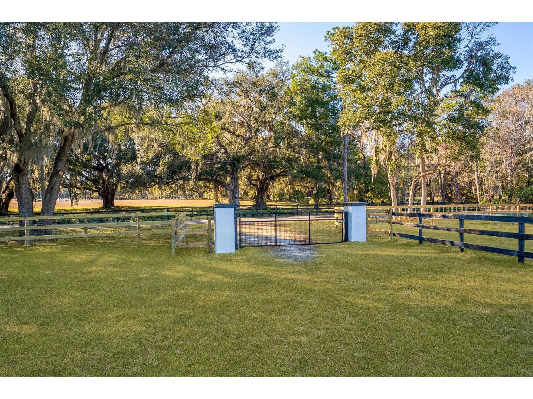 8245 NW 137th Avenue Morriston FL 32668 OM717897 image11