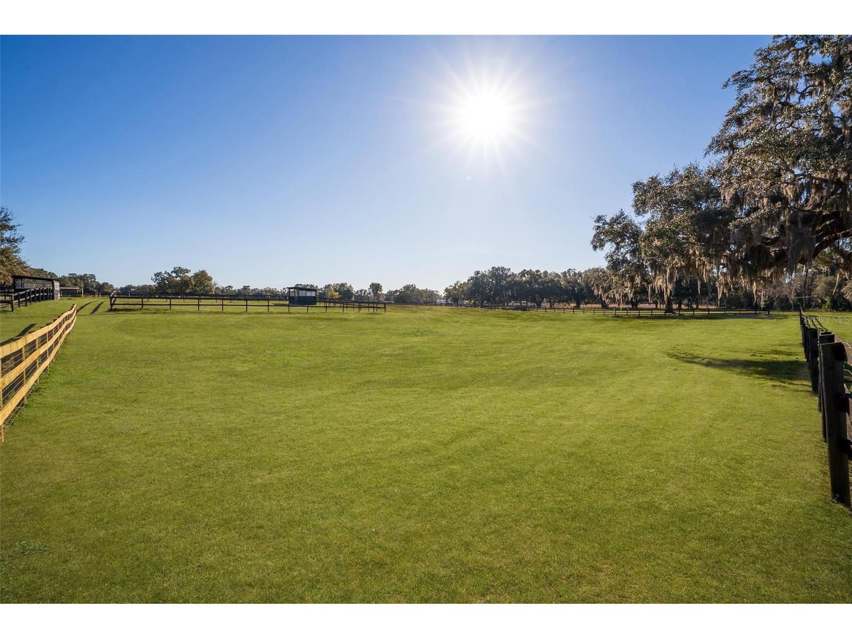 8245 NW 137th Avenue Morriston FL 32668 OM717897 image2