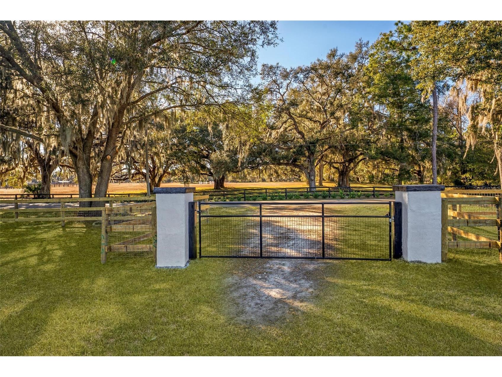 8245 NW 137th Avenue Morriston FL 32668 OM717897 image4