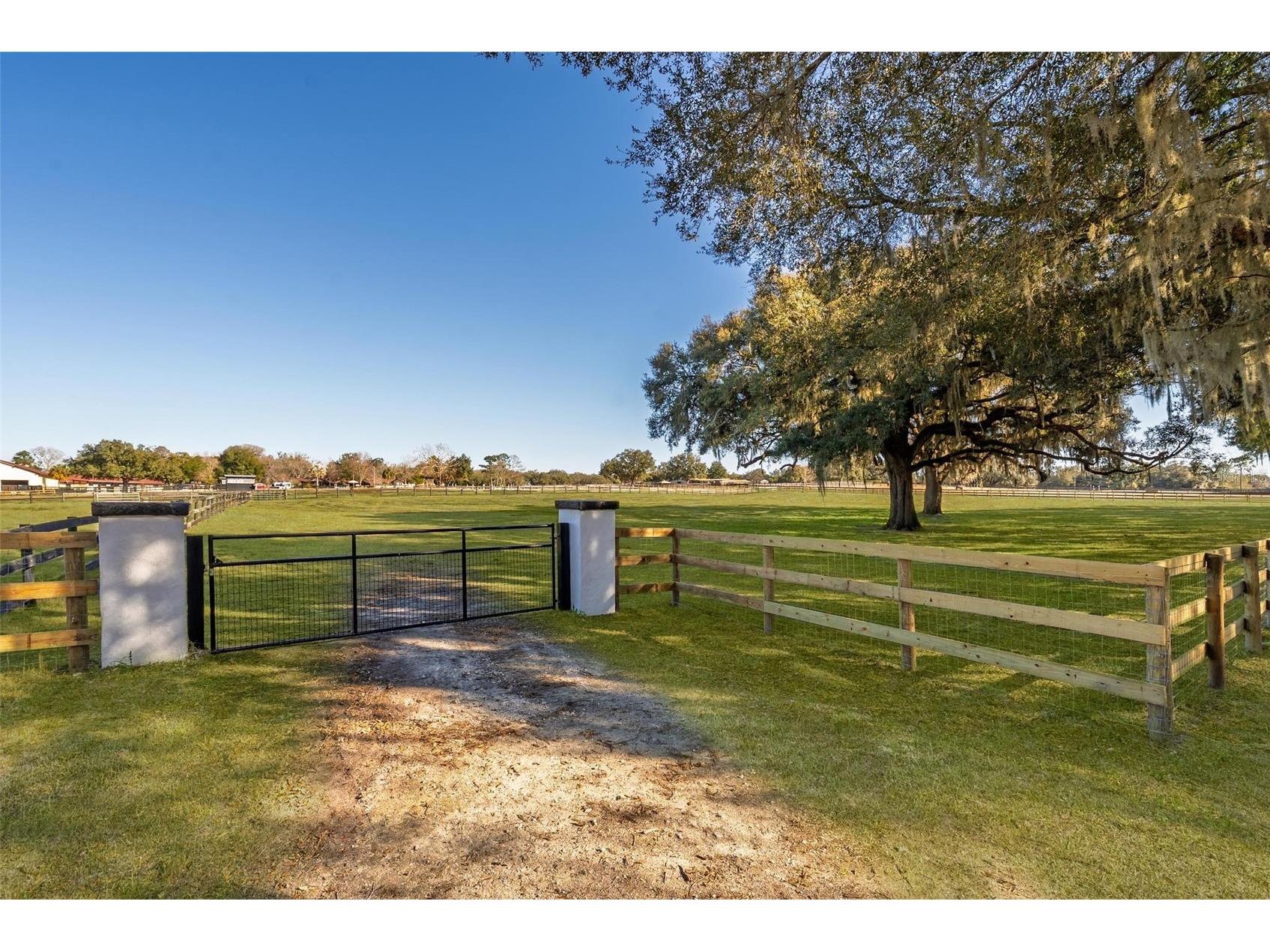 8245 NW 137th Avenue Morriston FL 32668 OM717897 image9