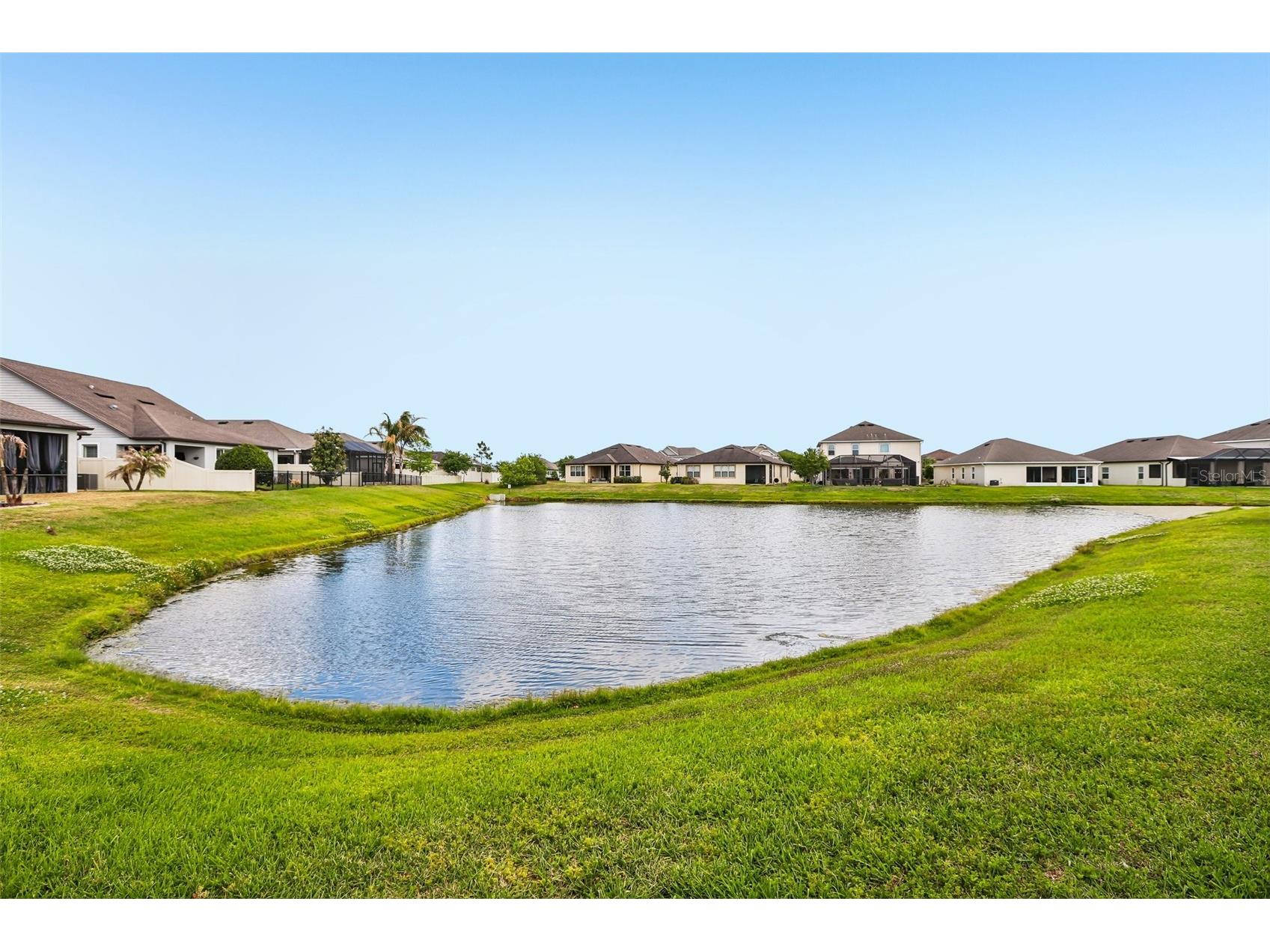 8245 Olive Brook Drive Wesley Chapel FL 33545 TB8479836 image27
