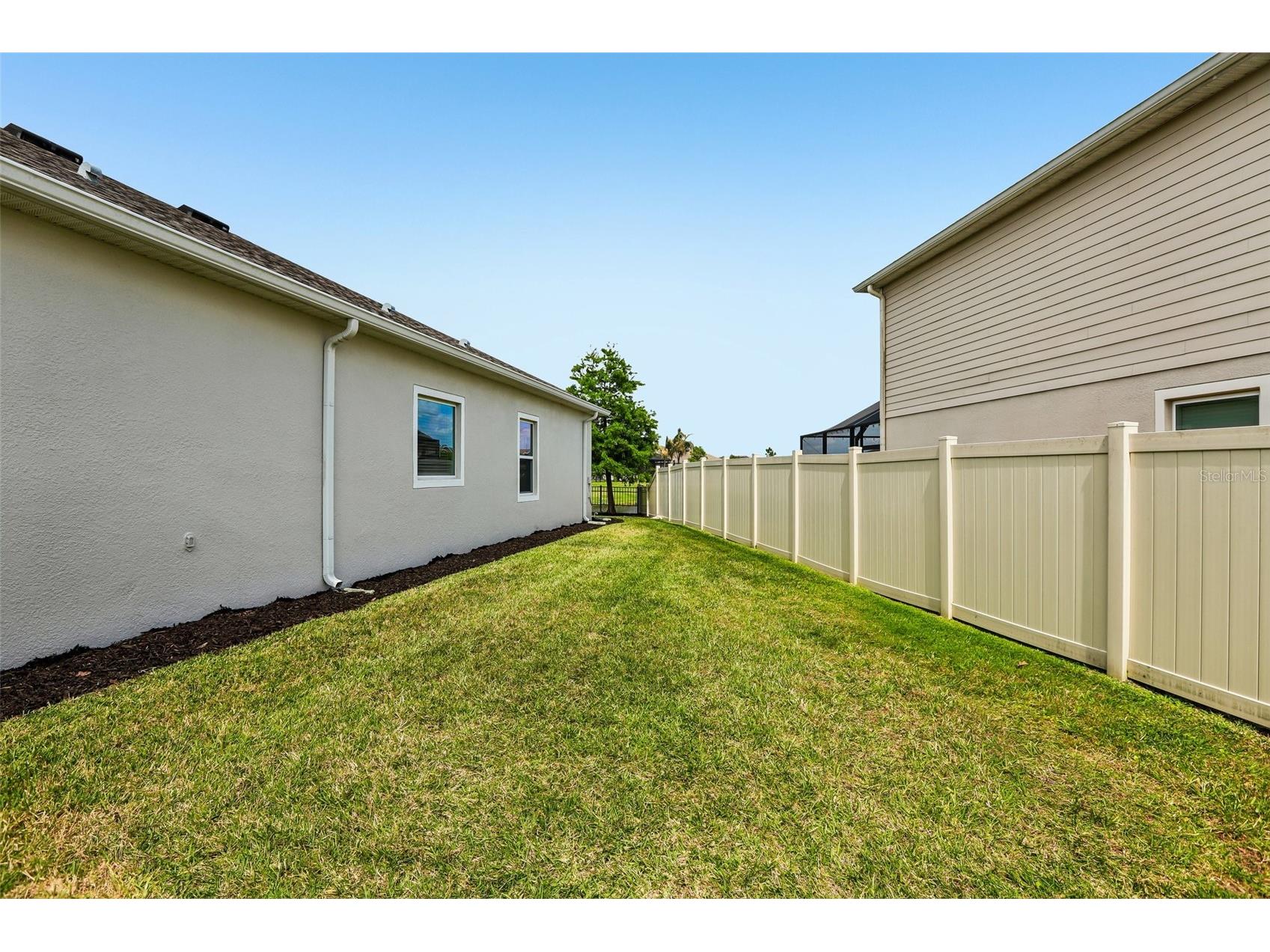 8245 Olive Brook Drive Wesley Chapel FL 33545 TB8479836 image28