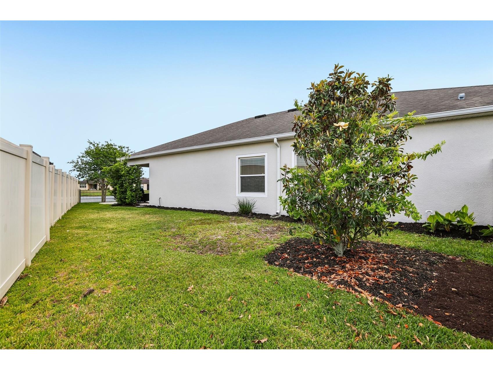 8245 Olive Brook Drive Wesley Chapel FL 33545 TB8479836 image29