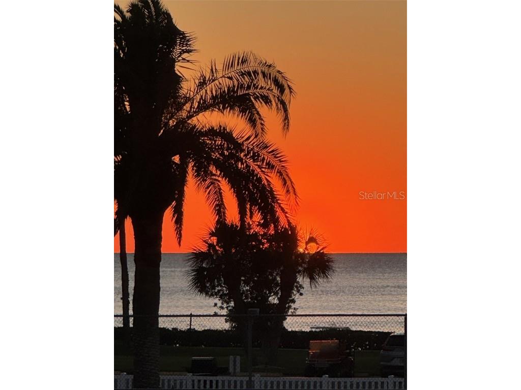 8246 Aquila Street Port Richey FL 34668 TB8316048 image38