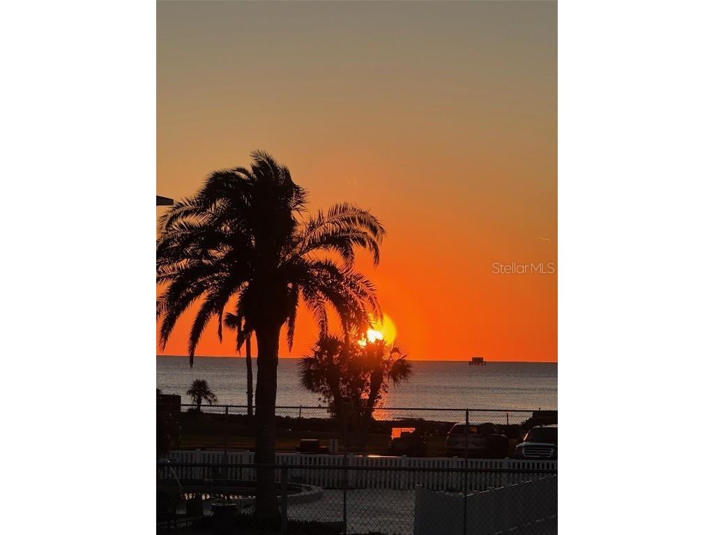 8246 Aquila Street Port Richey FL 34668 TB8316048 image39