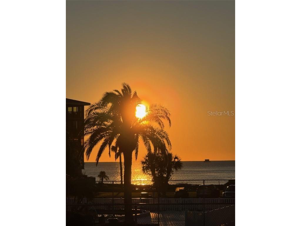 8246 Aquila Street Port Richey FL 34668 TB8316048 image5