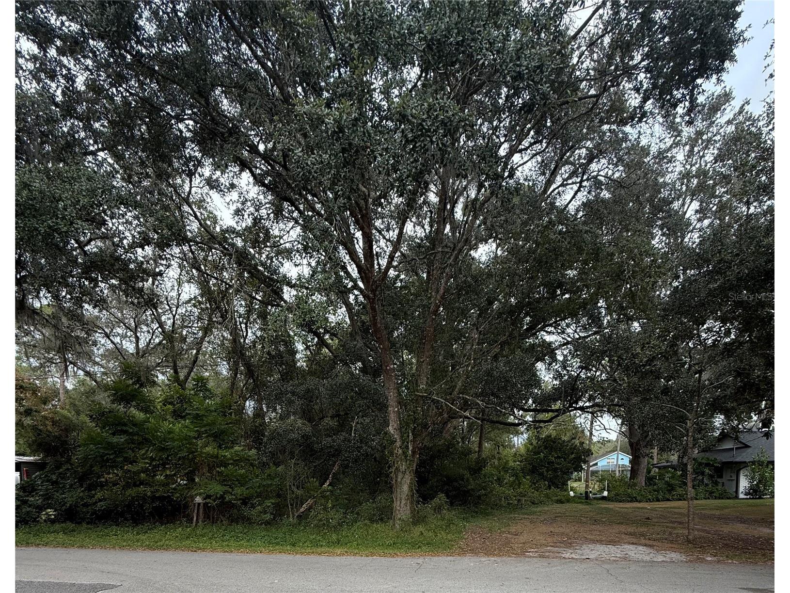 8246 Via Bella Street Sanford FL 32771 - CANAL TO LAKE MARKHAM O6365862 image1