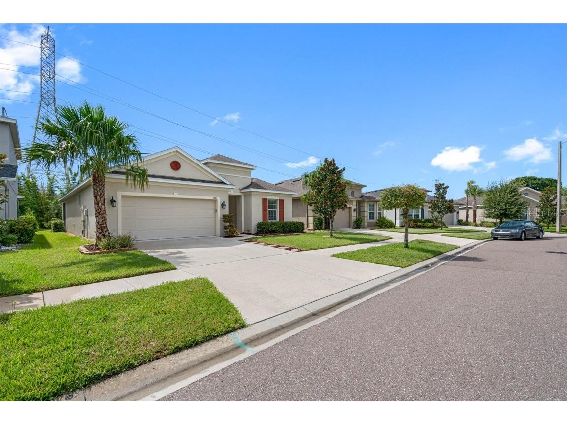8246 Willow Beach Drive Riverview FL 33578 T3473945 image1