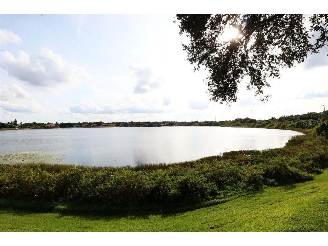 8248 Tivoli Drive Orlando FL 32836 O6149359 image6