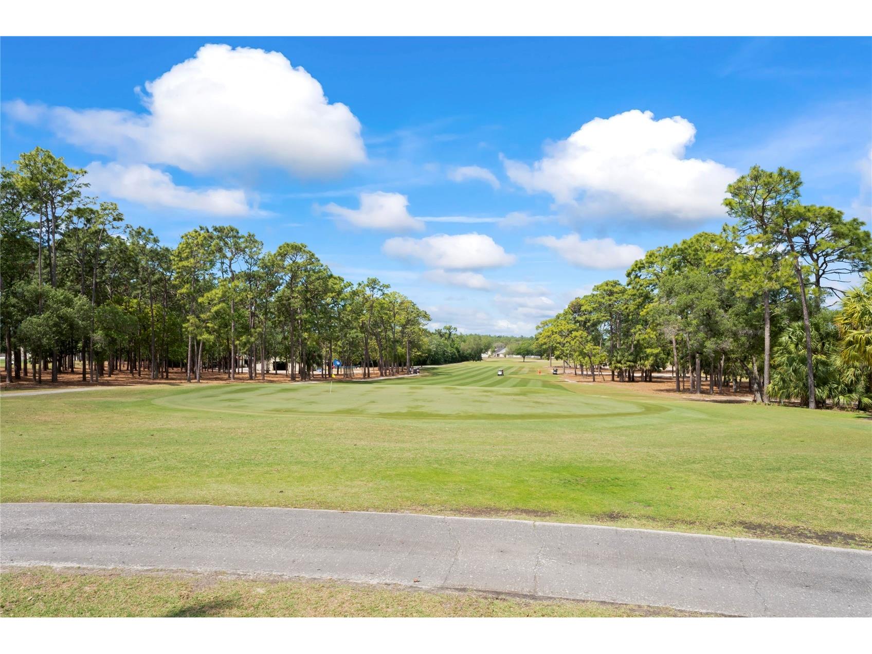 8248 Weatherford Avenue Brooksville FL 34613 TB8470034 image72