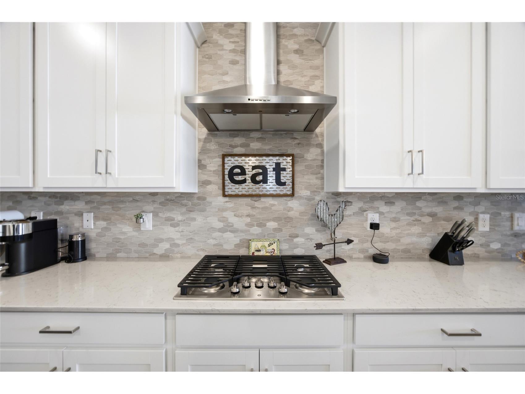 8249 Capstone Ranch Drive New Port Richey FL 34655 TB8477547 image15