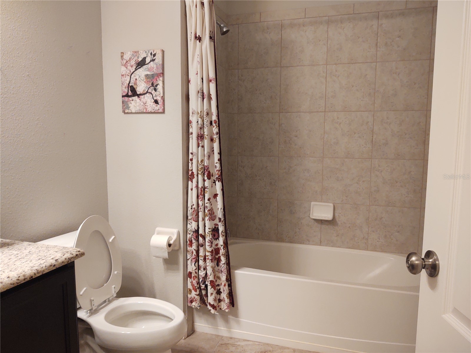 8249 Carlton Ridge Drive Land O Lakes FL 34638 TB8441092 image13