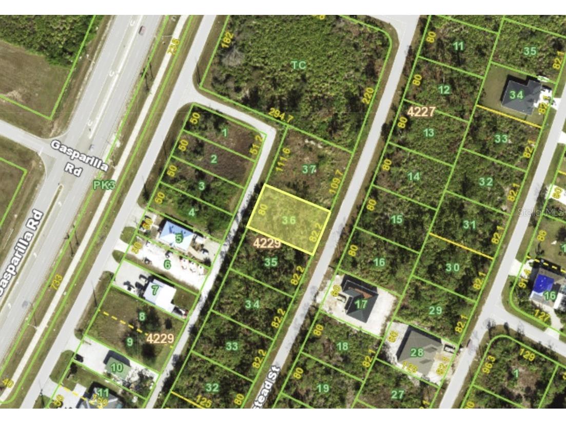 8249 Dimstead Street Port Charlotte FL 33981 T3492459 image1