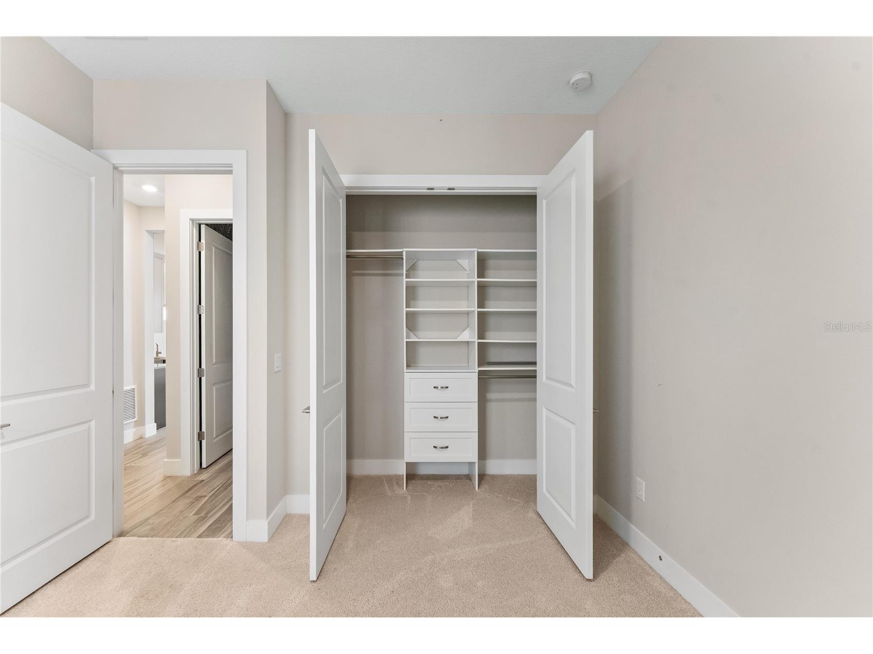 8249 Ivy Stark Boulevard Wesley Chapel FL 33545 TB8526416 image39