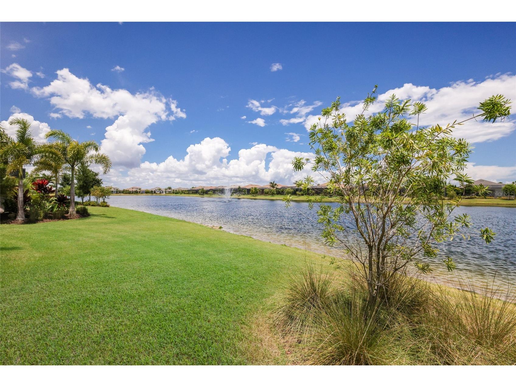8249 Pavia Way Lakewood Ranch FL 34202 A4681008 image28