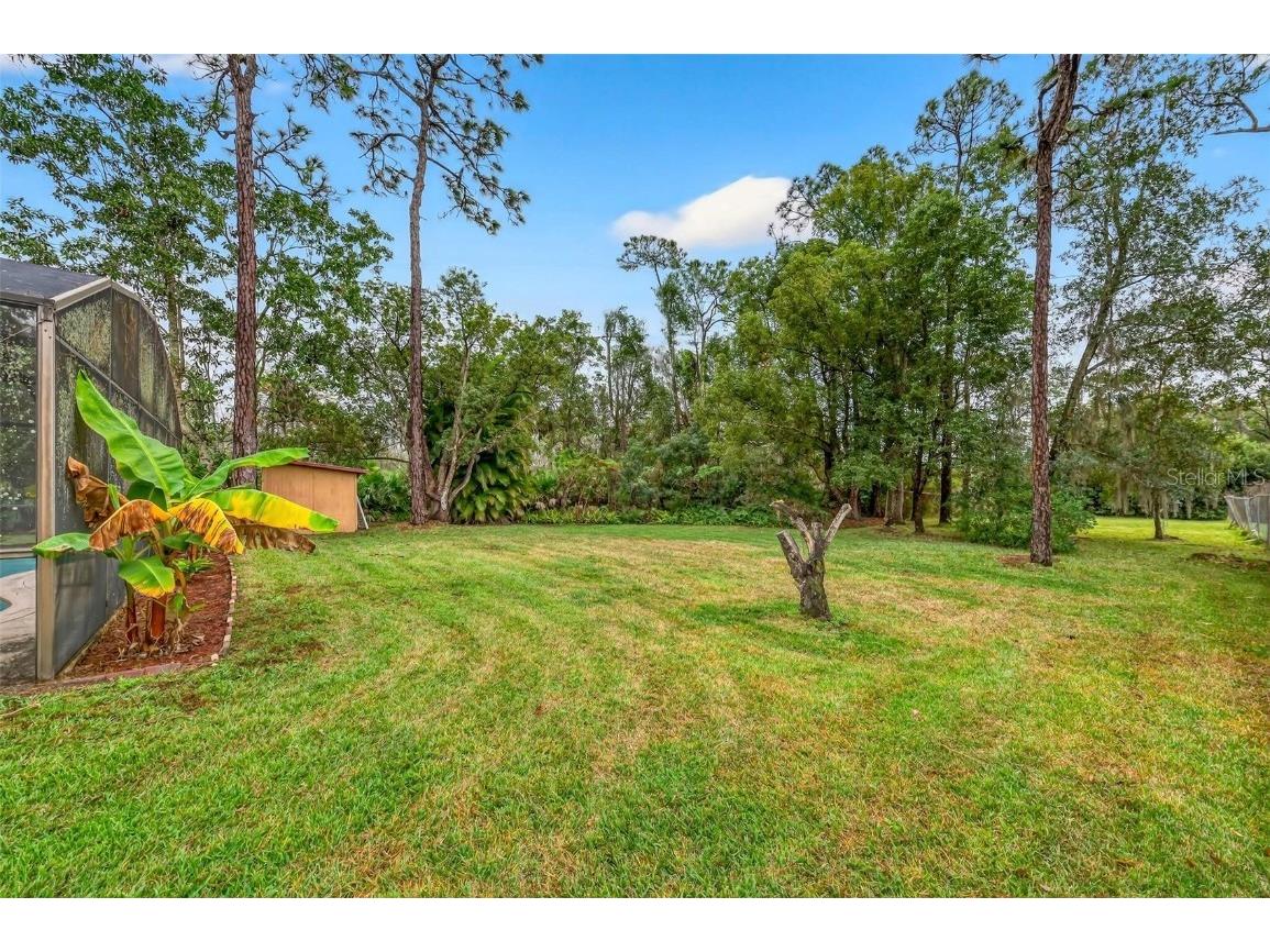 825 Arden Street Longwood FL 32750 O6366005 image56