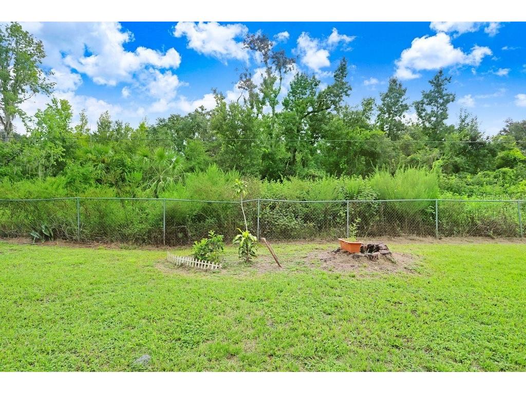 825 Chamberlain Boulevard Wauchula FL 33873 L4959983 image25