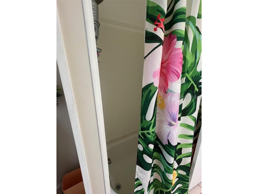 825 Coconut Palm Street Largo FL 33778 TB8374519 image28